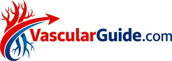 VascularGuide logo